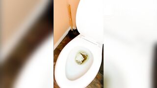 SCAT - Molly pooping