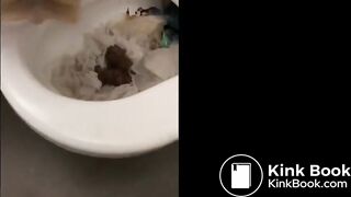 Scatcouple99 amateur public scat