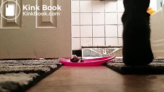 SCAT - FoxyJ pooping