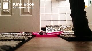 SCAT - FoxyJ pooping