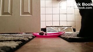 SCAT - FoxyJ pooping