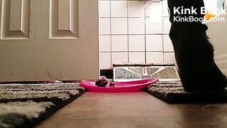 SCAT - FoxyJ pooping