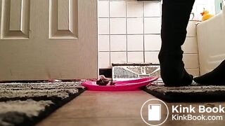 SCAT - FoxyJ pooping