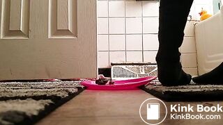 SCAT - FoxyJ pooping