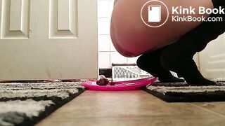 SCAT - FoxyJ pooping