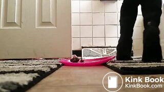 SCAT - FoxyJ pooping