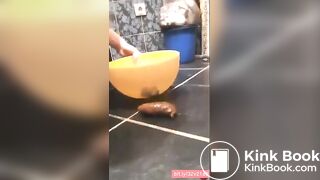 SCAT - Hot girls Pooping