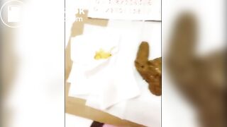 SCAT - Hot girls Pooping