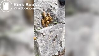 SCAT - Hot girls Pooping