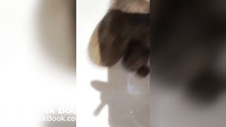 SCAT - FoxyJ pooping