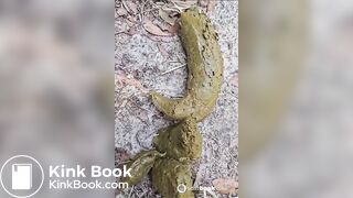 SCAT - Sexy girls Pooping
