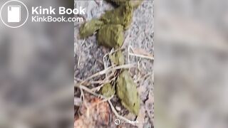 SCAT - Sexy girls Pooping