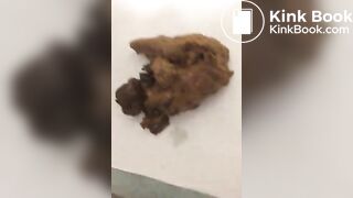 SCAT - FoxyJ pooping