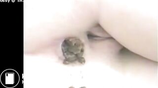 SCAT - Hot girls Pooping