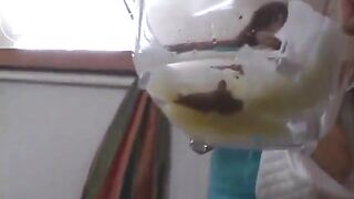 SCAT - Asian girls pooping in the toilet 3