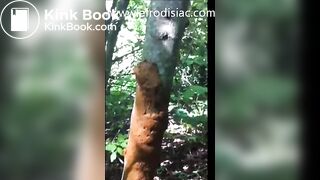 SCAT - SouthernCharm Pooping