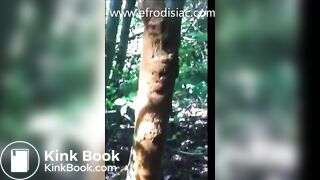 SCAT - SouthernCharm Pooping