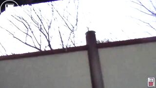 SCAT - Asian girls pooping in the toilet 5