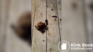 SCAT - SouthernCharm Pooping