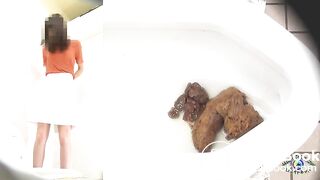 SCAT - Asian girls pooping in the toilet 2