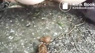 SCAT - Sexy girls Pooping 5