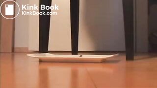 SCAT - Sexy girls Pooping 5