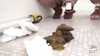 SCAT - Asian girls pooping in the toilet 3