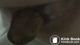 Tight womens asses pooping in public toilets