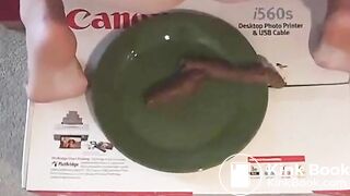 SCAT - Sexy girls Pooping 8