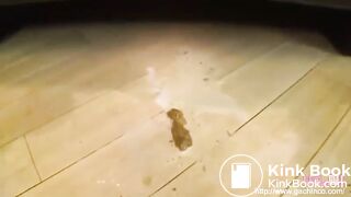SCAT - Asian girls pooping in the toilet 8