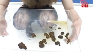SCAT - Asian girls pooping in the toilet 7
