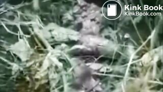 SCAT - Sexy girls Pooping 8