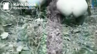 SCAT - Sexy girls Pooping 8