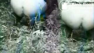 SCAT - Sexy girls Pooping 8