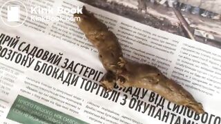 SCAT - Sexy girls Pooping 15