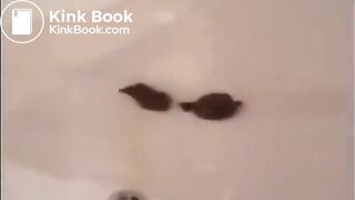 SCAT - Sexy girls Pooping 9