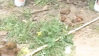 SCAT - Sexy girls Pooping 2