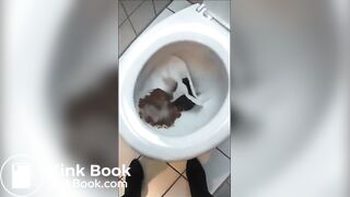 SCAT - Sexy girls Pooping 4