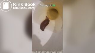 SCAT - Sexy girls Pooping 12