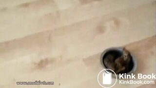 SCAT - Sexy girls Pooping 15