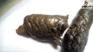 SCAT - Sexy girls Pooping 21