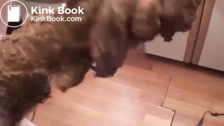 SCAT - Sexy girls Pooping 16