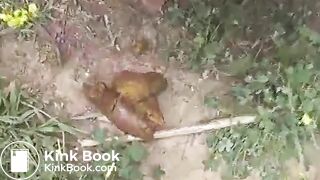 SCAT - Sexy girls Pooping 16