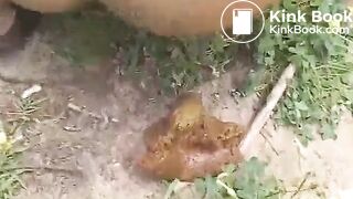 SCAT - Sexy girls Pooping 16