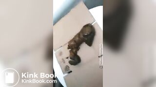 SCAT - Sexy girls Pooping 12