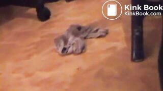 SCAT - Sexy girls Pooping 9