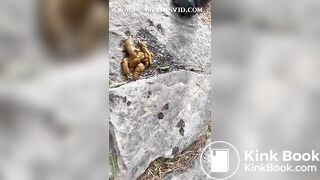 SCAT - Sexy girls Pooping 15