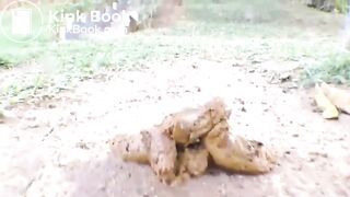 SCAT - Sexy girls Pooping 19