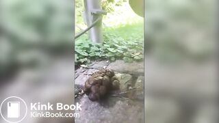 SCAT - Sexy girls Pooping 16