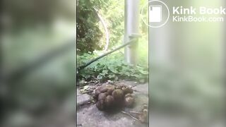 SCAT - Sexy girls Pooping 16